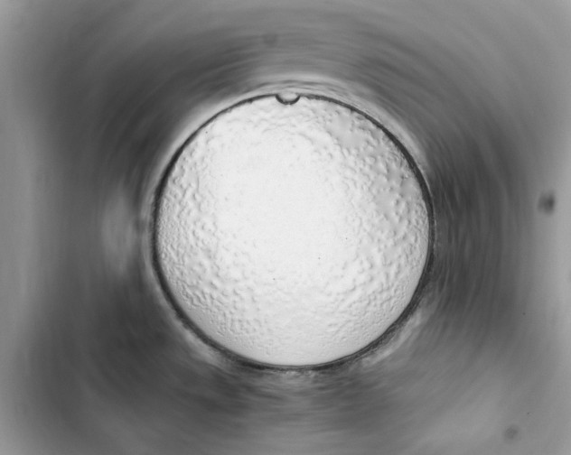 X0000103411533200810031235