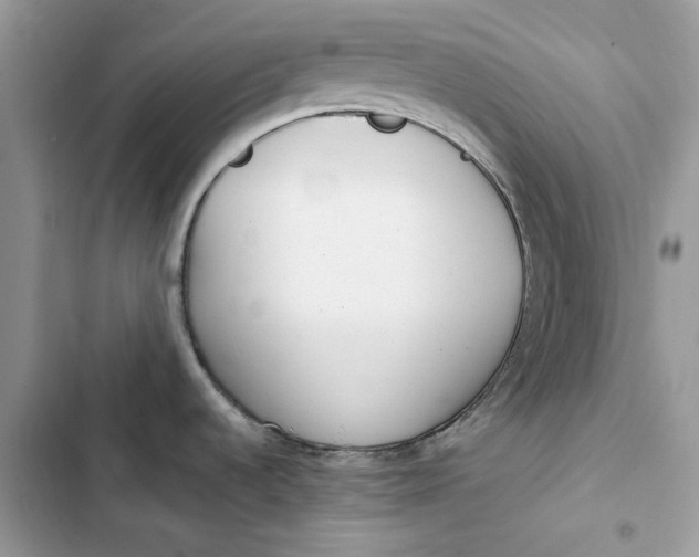 X0000103411536200810031235