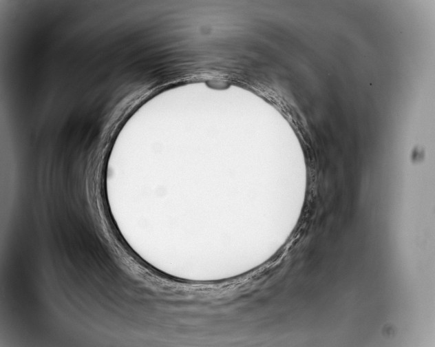 X0000103410001200810101007