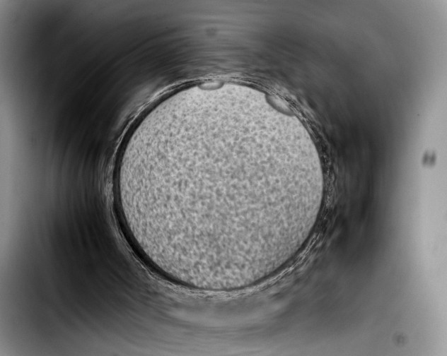 X0000103410002200810101007