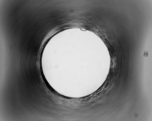 X0000103410004200810101007