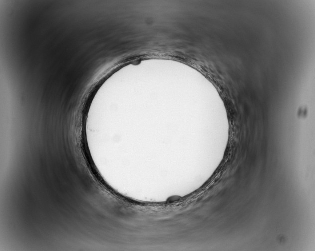 X0000103410005200810101007