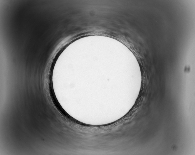 X0000103410007200810101007