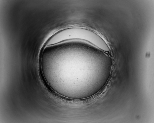 X0000103410008200810101007