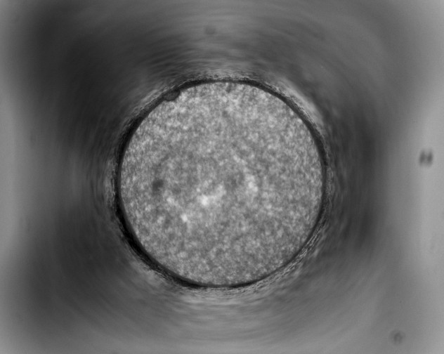 X0000103410009200810101007