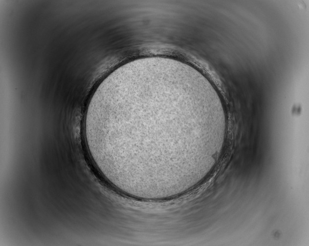 X0000103410010200810101007