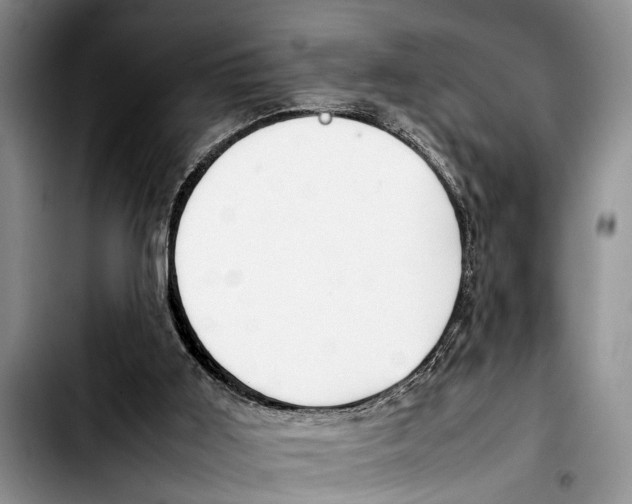 X0000103410011200810101007