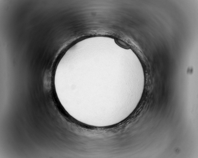 X0000103410012200810101007