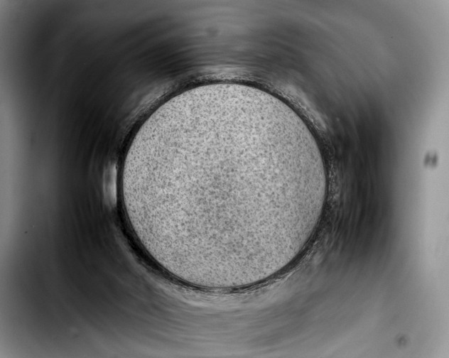 X0000103410014200810101006