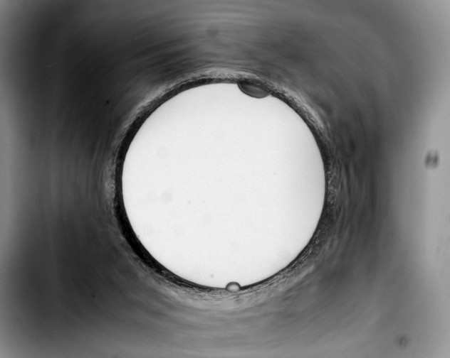 X0000103410015200810101006