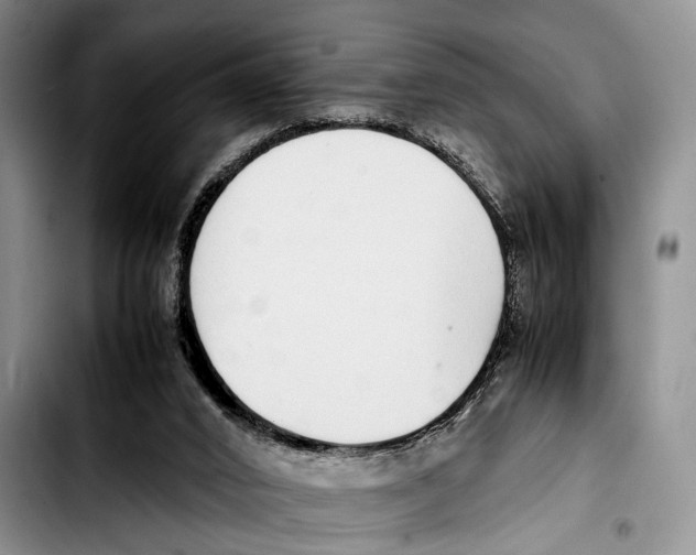 X0000103410016200810101006