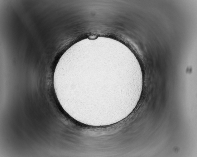 X0000103410017200810101006