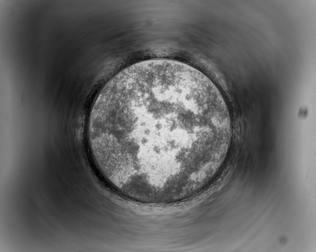 X0000103410018200810101006