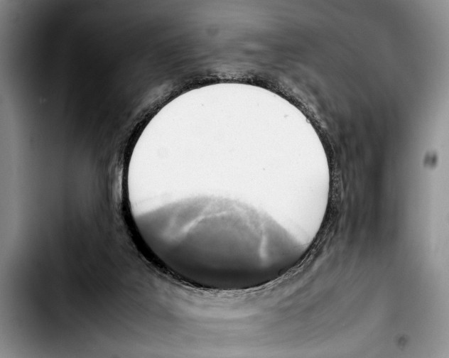 X0000103410019200810101006