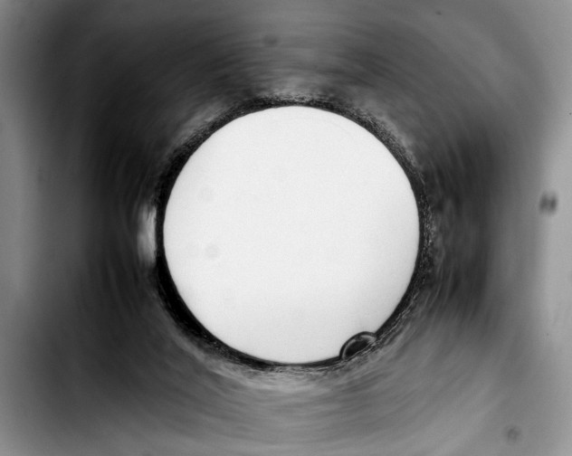 X0000103410020200810101006