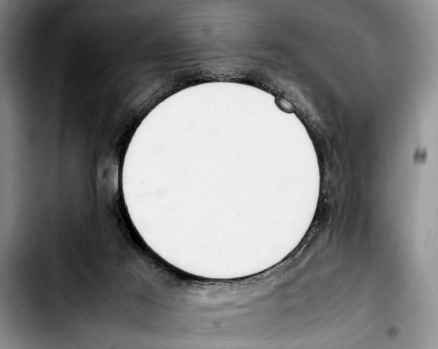 X0000103410021200810101006