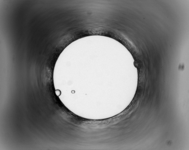 X0000103410025200810101006