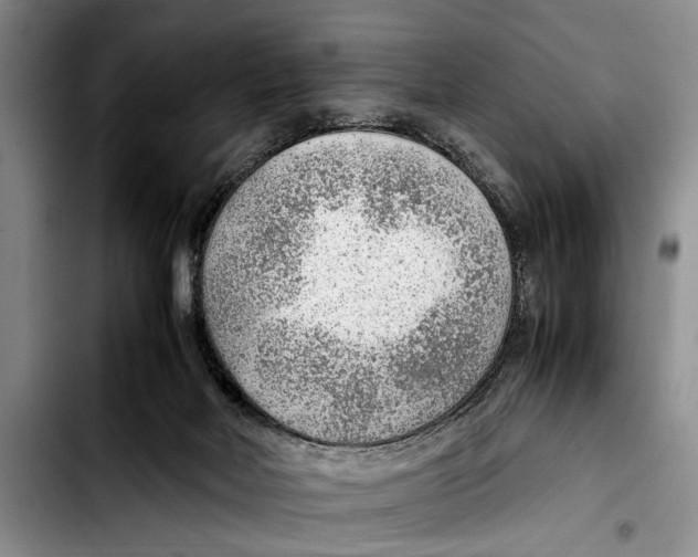 X0000103410026200810101006