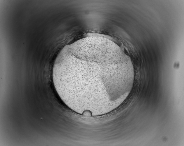 X0000103410030200810101006