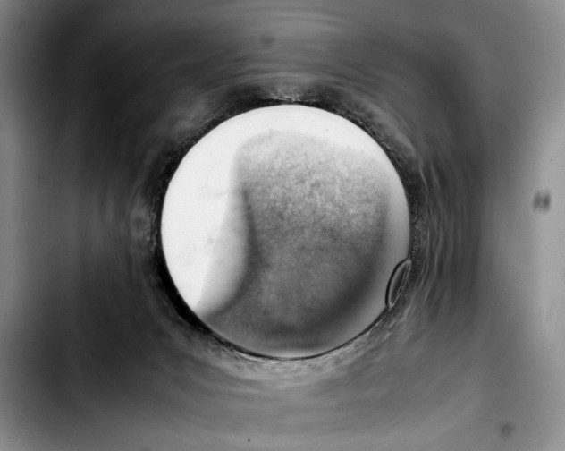 X0000103410031200810101006