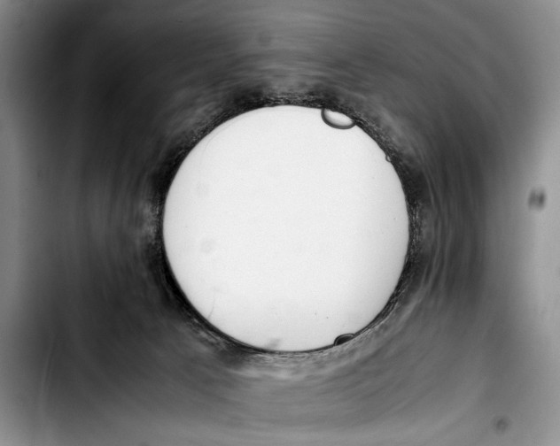 X0000103410033200810101006