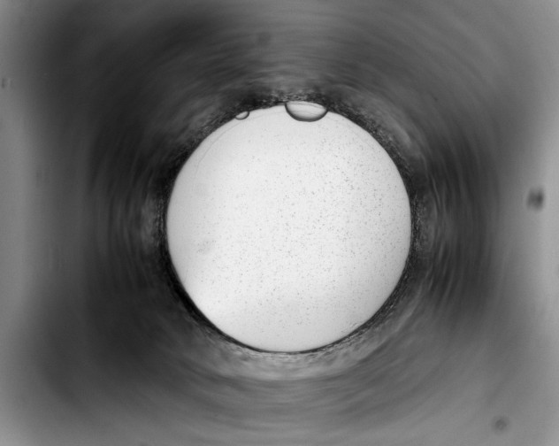 X0000103410034200810101006