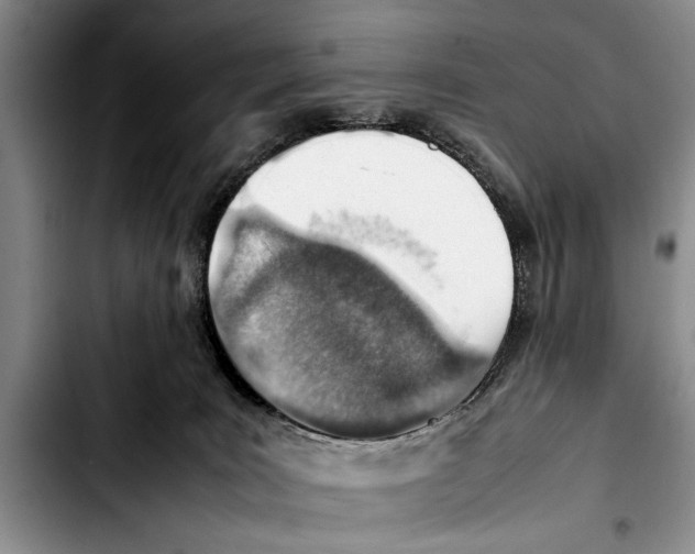 X0000103410035200810101006