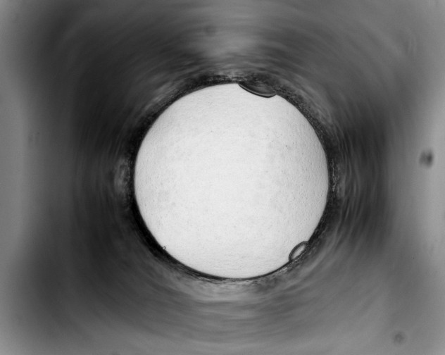 X0000103410036200810101006