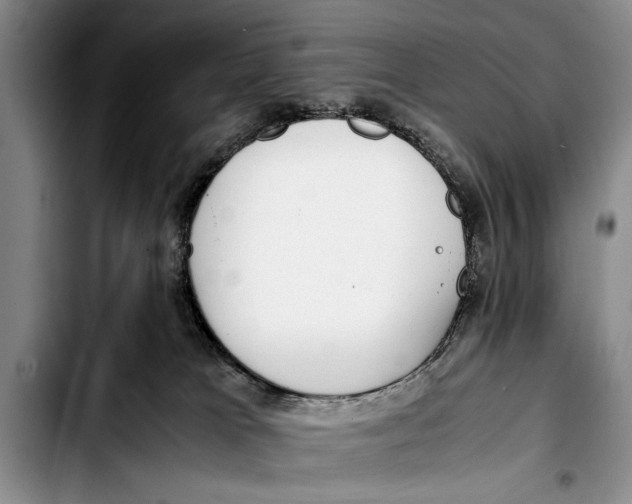 X0000103410037200810101006