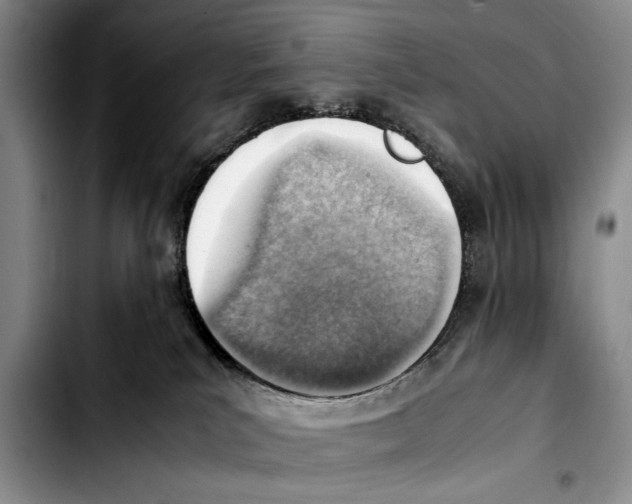 X0000103410039200810101006