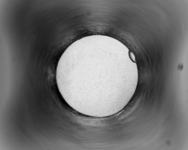 X0000103410040200810101006