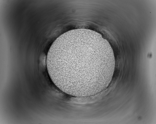 X0000103410041200810101006