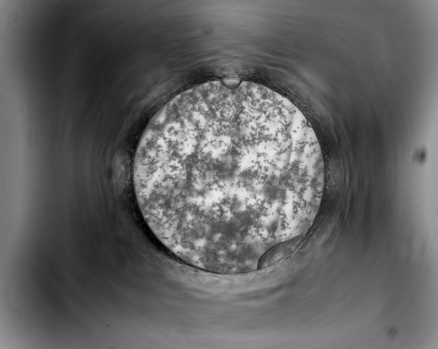 X0000103410043200810101006