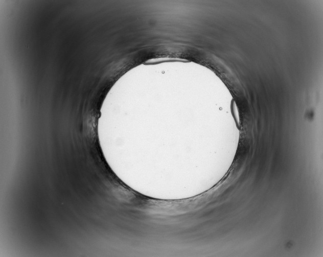 X0000103410045200810101006