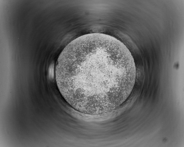 X0000103410046200810101006