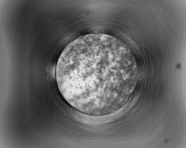 X0000103410047200810101006