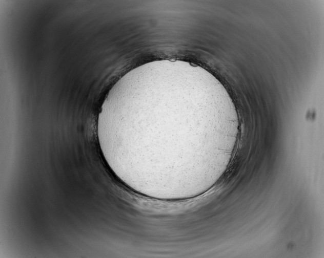 X0000103410048200810101006