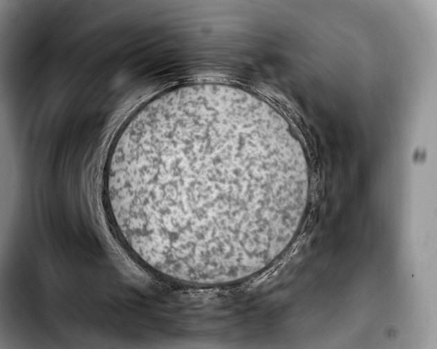 X0000103410049200810101005