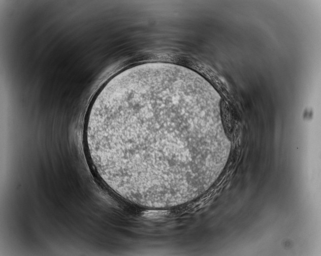 X0000103410051200810101005