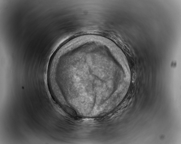 X0000103410052200810101005