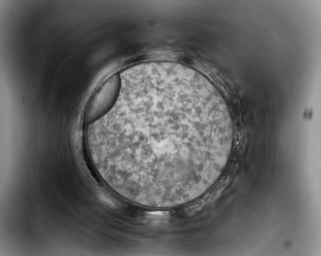 X0000103410053200810101005