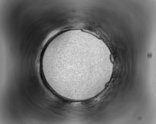 X0000103410054200810101005