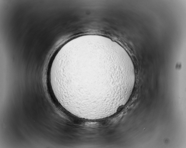 X0000103410055200810101005