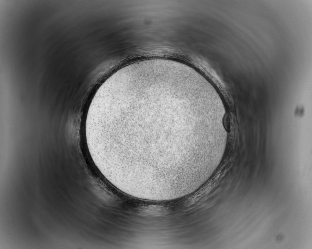 X0000103410058200810101005