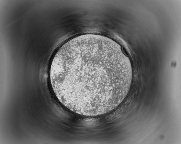 X0000103410059200810101005