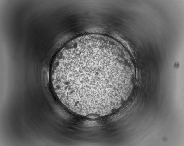 X0000103410061200810101006