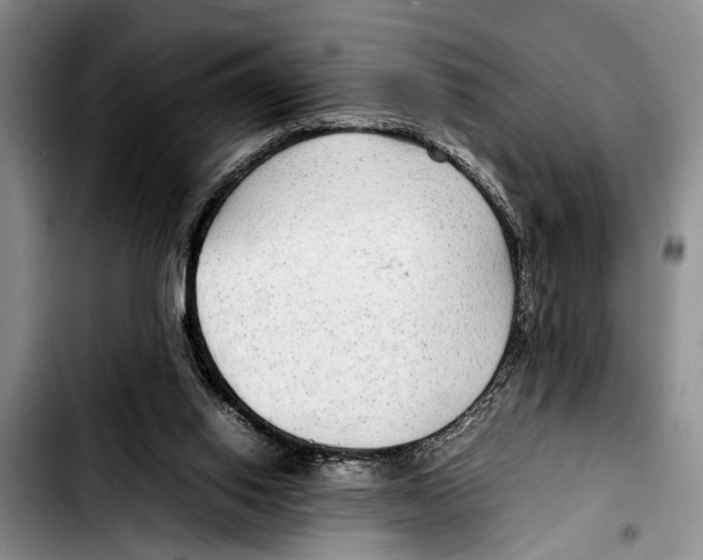 X0000103410062200810101006