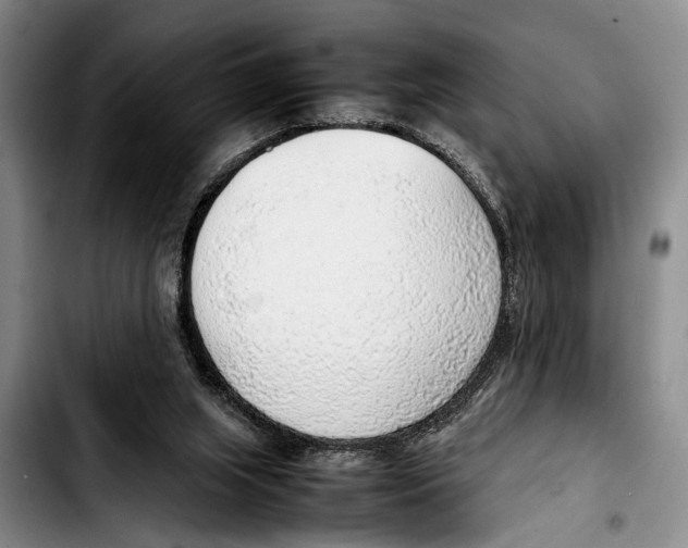 X0000103410063200810101006