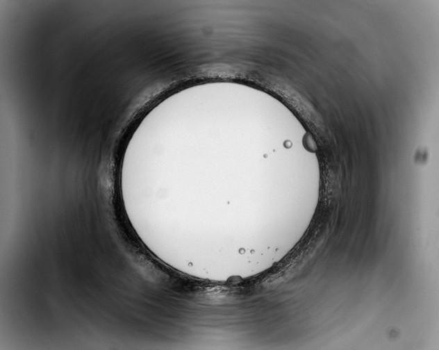 X0000103410064200810101006