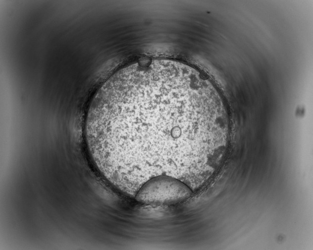 X0000103410065200810101006